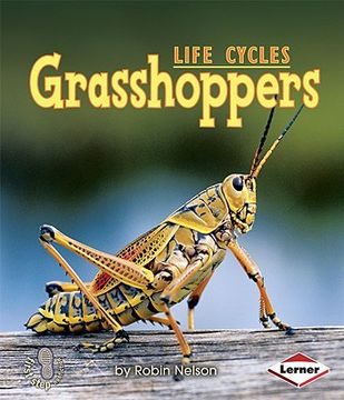 portada grasshoppers