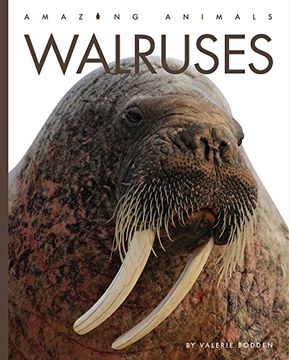 portada Walruses (en Inglés)