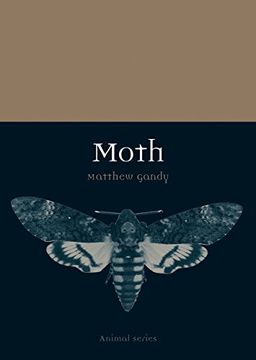 portada Moth (en Inglés)