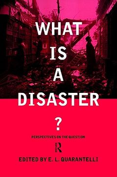 portada what is a disaster?: a dozen perspectives on the question (en Inglés)