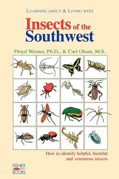 portada insects of the southwest (en Inglés)