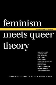 portada Feminism Meets Queer Theory (en Inglés)