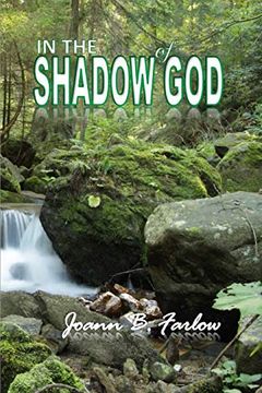 portada In the Shadow of god 