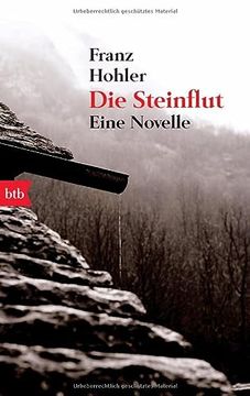 portada Die Steinflut: Eine Novelle (en Alemán)