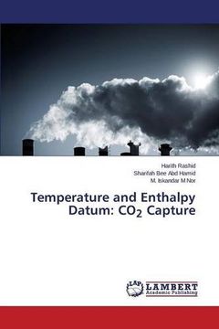 portada Temperature and Enthalpy Datum: CO<sub>2</sub> Capture