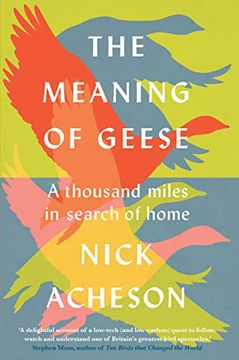 portada The Meaning of Geese: A Thousand Miles in Search of Home (en Inglés)