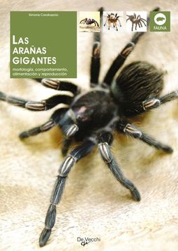 portada Las Arañas Gigantes: Morfologia, Comportamiento, Alimentacion y r Eproduccion