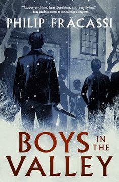 portada Boys in the Valley (en Inglés)