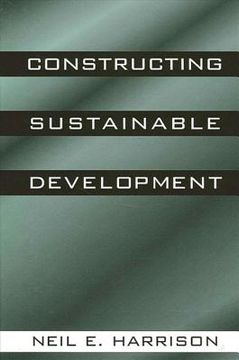 portada constructing sustainable developmt