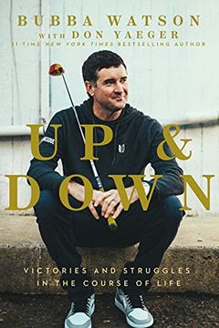 portada Up and Down: Victories and Struggles in the Course of Life (in English)