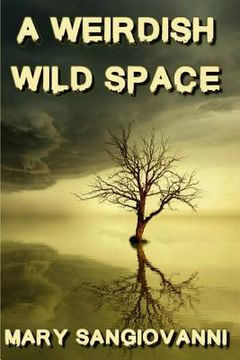 portada A Weirdish Wild Space (en Inglés)