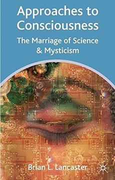 portada Approaches to Consciousness: The Marriage of Science and Mysticism (en Inglés)