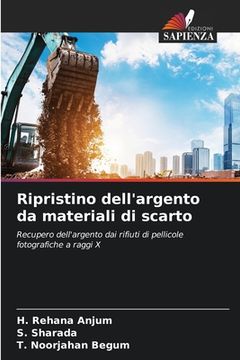 portada Ripristino dell'argento da materiali di scarto (en Italiano)