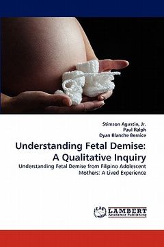portada understanding fetal demise: a qualitative inquiry (en Inglés)