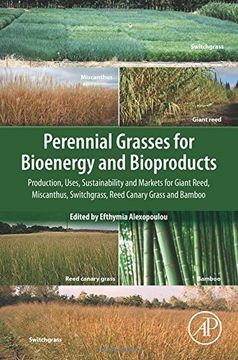 portada Perennial Grasses for Bioenergy and Bioproducts: Production, Uses, Sustainability and Markets for Giant Reed, Miscanthus, Switchgrass, Reed Canary Grass and Bamboo (en Inglés)