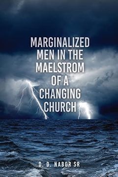 portada Marginalized men in the Maelstrom of a Changing Church (en Inglés)