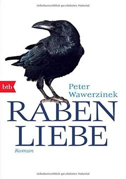 portada Rabenliebe: Roman (en Alemán)