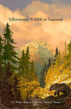 portada Yellowstone's Wildlife in Transition 