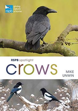 portada Rspb Spotlight Crows (en Inglés)
