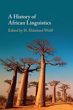portada A History of African Linguistics 