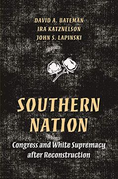 portada Southern Nation: Congress and White Supremacy After Reconstruction (Princeton Studies in American Politics: Historical, International, and Comparative Perspectives) 