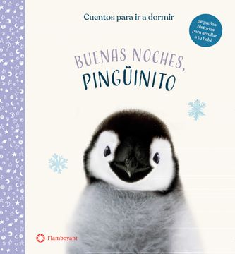 portada Buenas Noches, Pinguinito