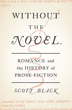 portada Without the Novel: Romance and the History of Prose Fiction 