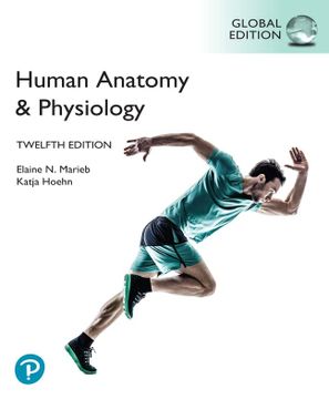 portada Human Anatomy & Physiology Laboratory Manual, Main Version, Global Edition 