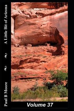 portada A Little Bit of Arizona: Volume 37 (in English)