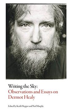 portada Writing the Sky: Observations and Essays on Dermot Healy (Irish Literature)