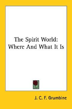 portada the spirit world: where and what it is (en Inglés)