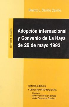 portada Adopcion internacional y convenio d e la haya