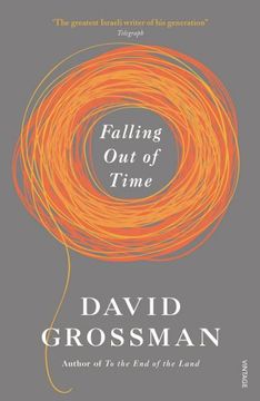 portada Falling out of Time (in English)
