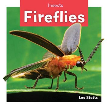 portada Fireflies (Insects) (en Inglés)