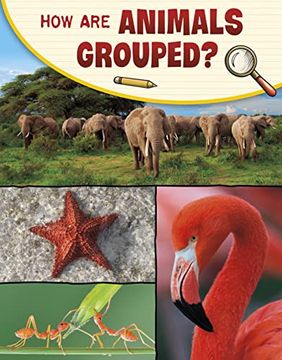 portada How are Animals Grouped? (en Inglés)