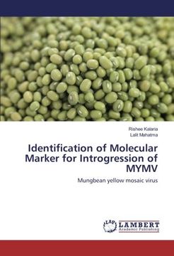 portada Identification of Molecular Marker for Introgression of MYMV: Mungbean yellow mosaic virus