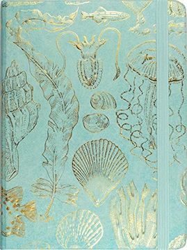 portada Sealife Sketches Journal (Diary, Notebook) (in English)
