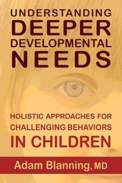 portada Understanding Deeper Developmental Needs: Holistic Approaches for Challenging Behaviors in Children (in English)