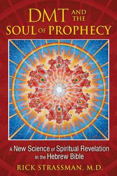 portada Dmt And The Soul Of Prophecy: A New Science Of Spiritual Revelation In The Hebrew Bible (in English)