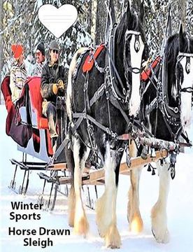 portada Winter Sport Horse Drawn Sleigh: Text on back Cover
