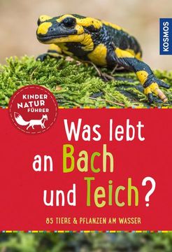 portada Was Lebt an Bach und Teich? Kindernaturführer (en Alemán)