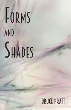 portada Forms and Shades (in English)