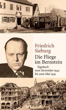 portada Die Fliege im Bernstein: Tagebuch vom November 1944 bis zum mai 1945 (in German)