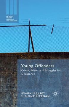 portada Young Offenders: Crime, Prison and Struggles for Desistance (en Inglés)