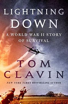 portada Lightning Down: A World war ii Story of Survival (in English)