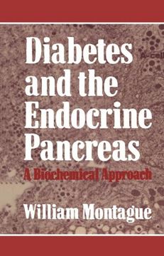portada diabetes and the endocrine pancreas: a biochemical approach (in English)