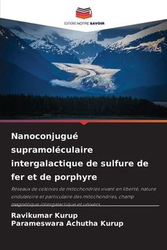portada Nanoconjugué supramoléculaire intergalactique de sulfure de fer et de porphyre (in French)