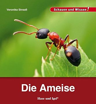 portada Die Ameise: Schauen und Wissen! (en Alemán)