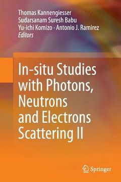 portada In-Situ Studies with Photons, Neutrons and Electrons Scattering II (en Inglés)