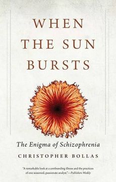 portada When the Sun Bursts: The Enigma of Schizophrenia